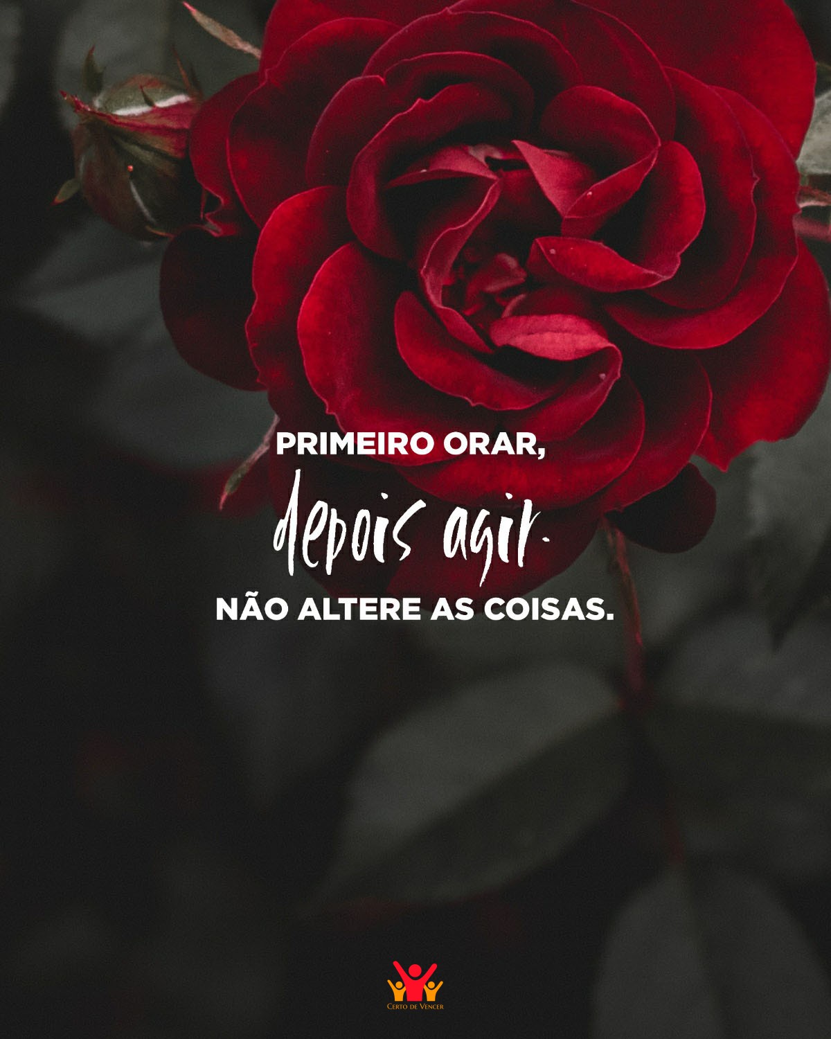 Primeiro orar, depois agir. Não altere as coisas.